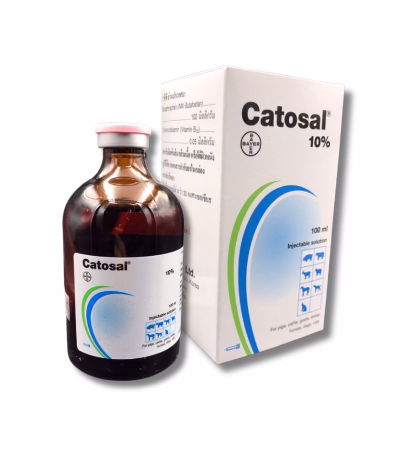 Catosal 10% คาโตซาล วิตามินบำรุงสัตว์ B12 100ml เพิ่มพลัง ฟื้นฟูสัตว์ป่วย