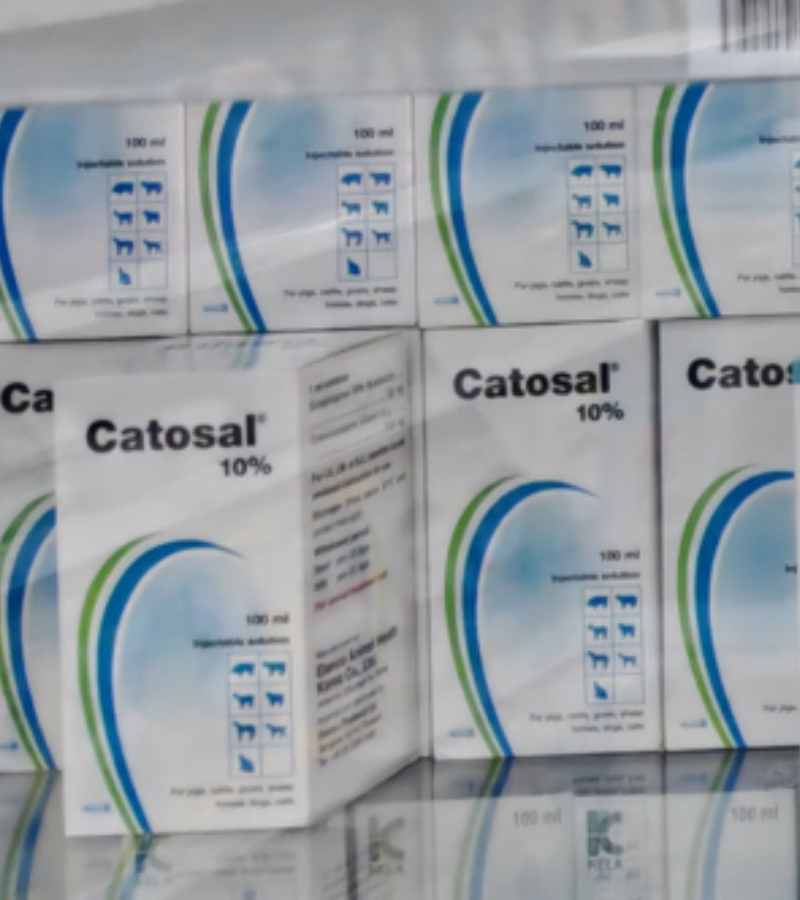 Catosal 10% คาโตซาล วิตามินบำรุงสัตว์ B12 100ml เพิ่มพลัง ฟื้นฟูสัตว์ป่วย - Image 2