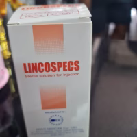 LINCOSPECS (ลินโคสเปคส์) 100 ml | ยาฉีด Lincomycin + Spectinomycin | รักษาโรคติดเชื้อทางเดินหายใจและลำไส้ในสุกร/ลูกโค