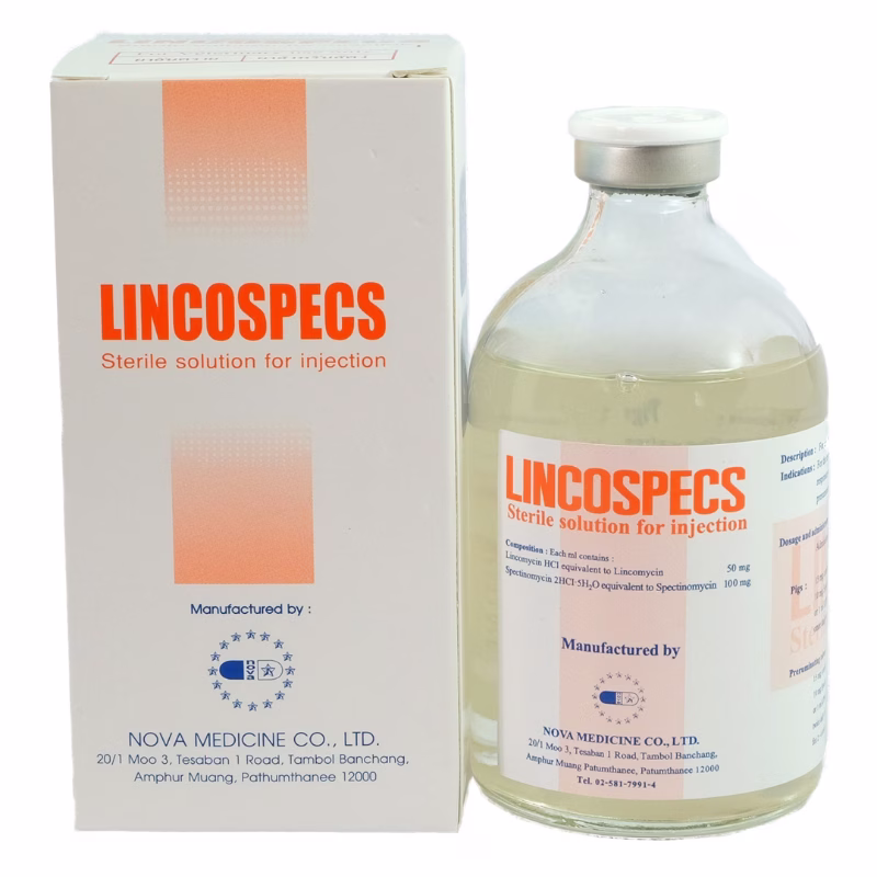 LINCOSPECS (ลินโคสเปคส์) 100 ml | ยาฉีด Lincomycin + Spectinomycin | รักษาโรคติดเชื้อทางเดินหายใจและลำไส้ในสุกร/ลูกโค - Image 2