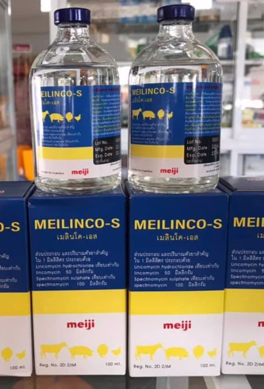 MEILINCO-S (เมลินโค-เอส) 100 ml | Lincomycin + Spectinomycin | ยาปฏิชีวนะสำหรับฉีด สำหรับสัตว์ปีก/สุกร/โค แก้หวัดไก่ CRD & ท้องเสียติดเชื้อ - Image 2
