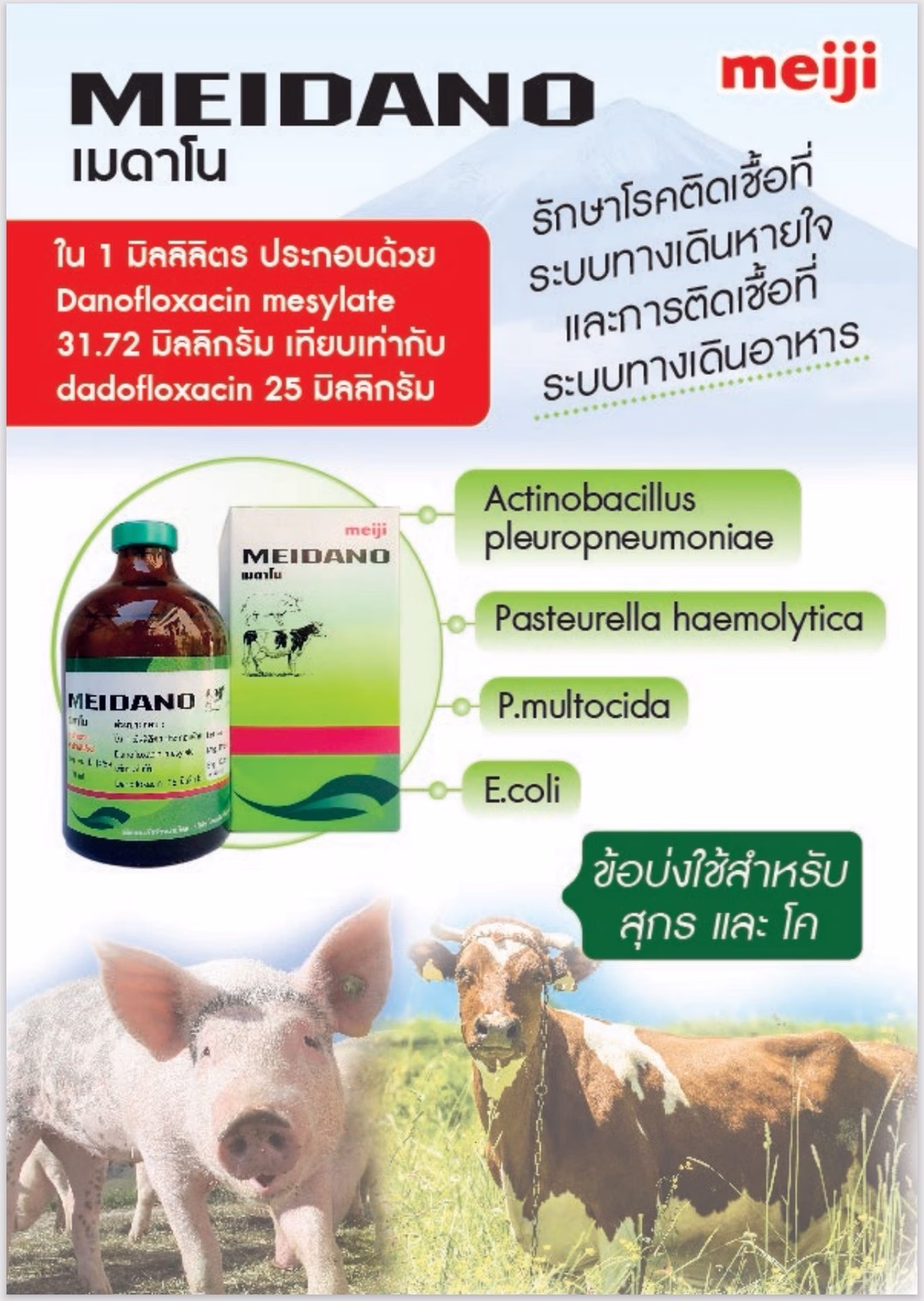 MEIDANO (เมดาโน) Danofloxacin 25 mg/mL ยาปฏิชีวนะสำหรับสุกรและโค ขนาด 100 mL - Image 3