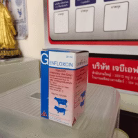 genfloxcin02