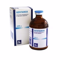 gentamox1