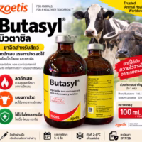 BUTASYL