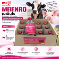 meienro meiji